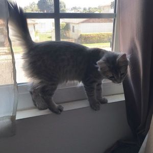 Meet your Posher, Mindy